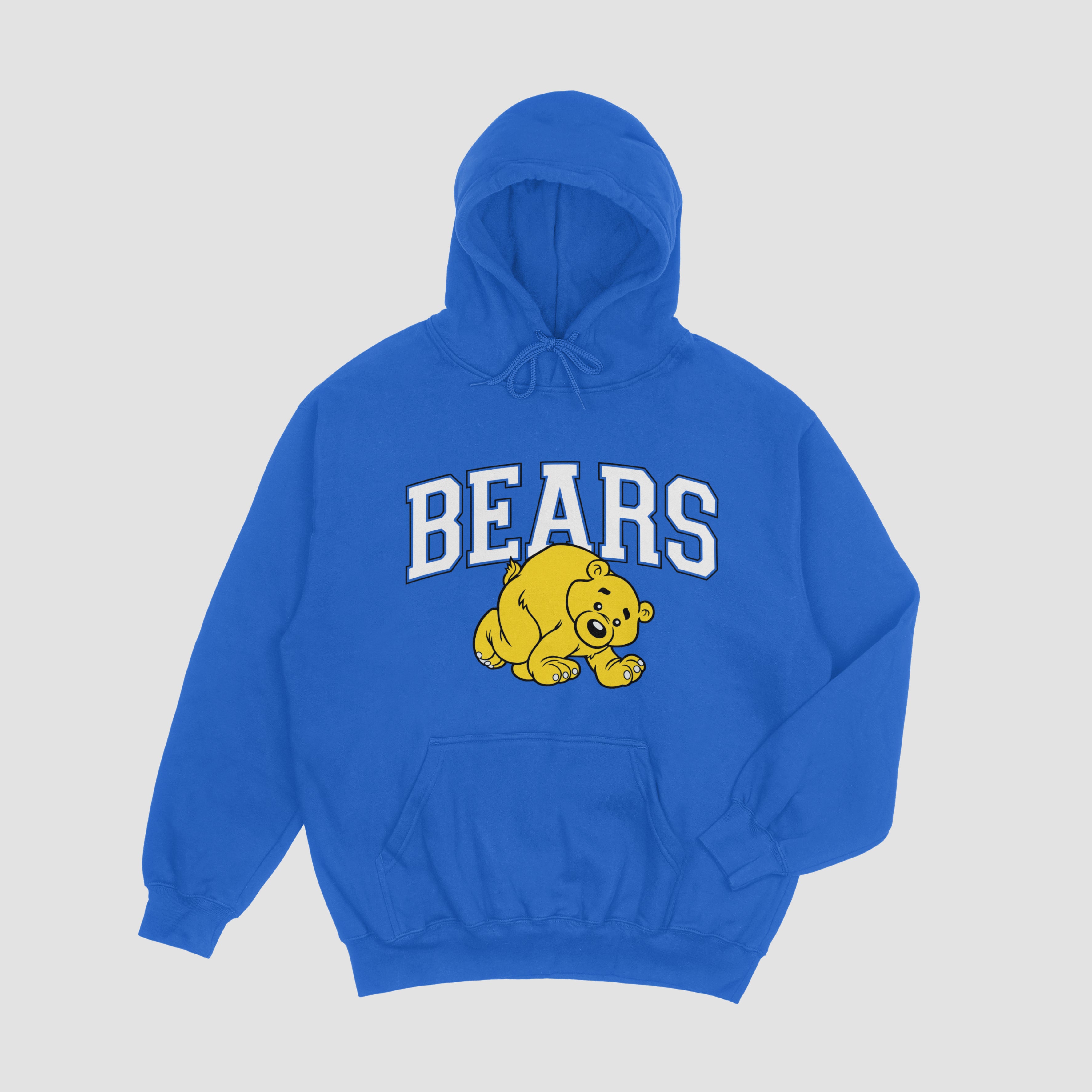 Boston Bears Hoodie