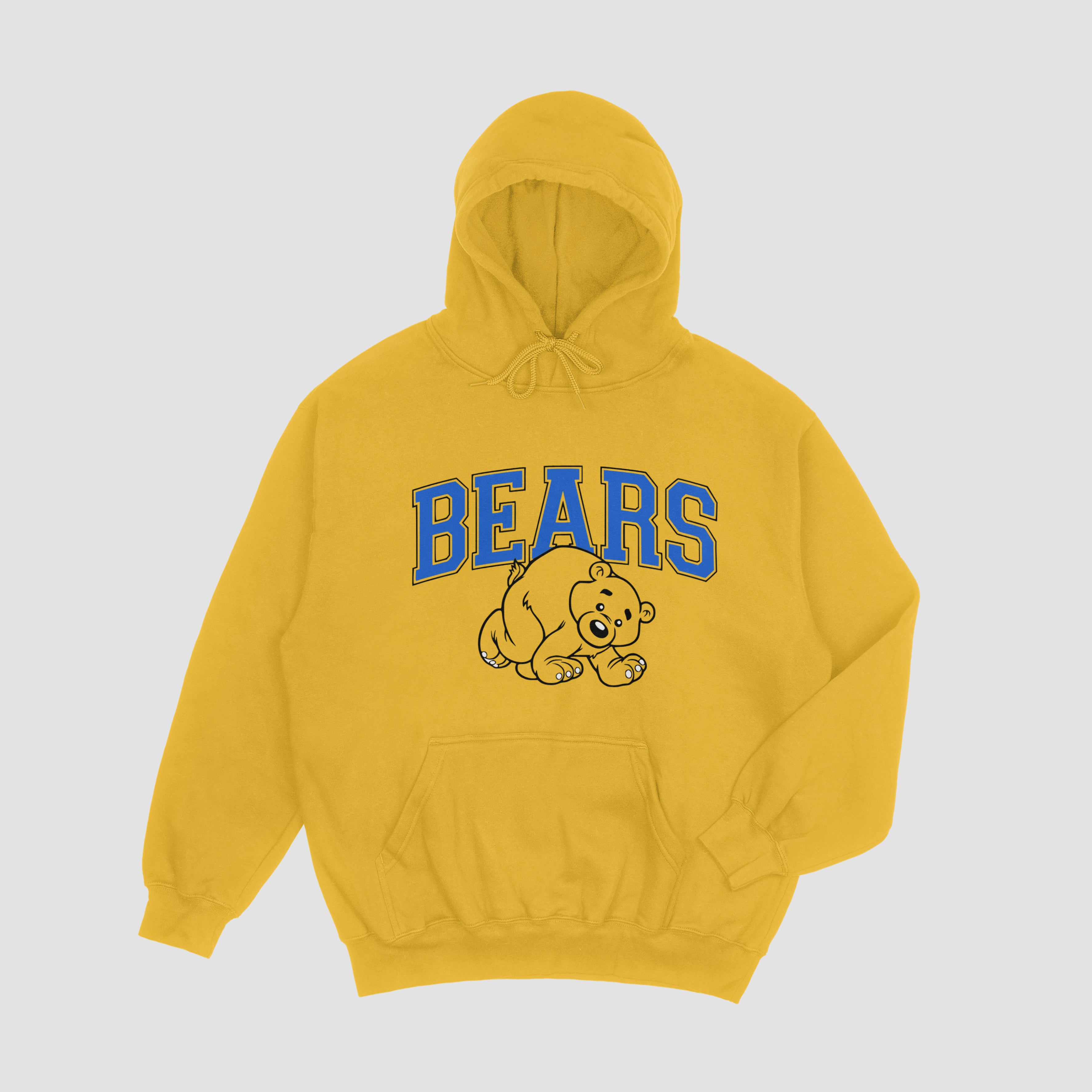 Boston Bears Hoodie