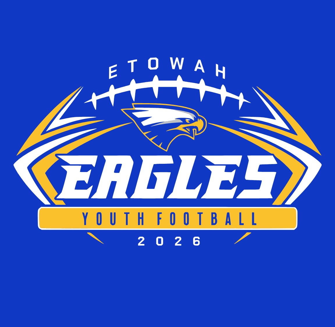 Eagles Youth Football Hoodie