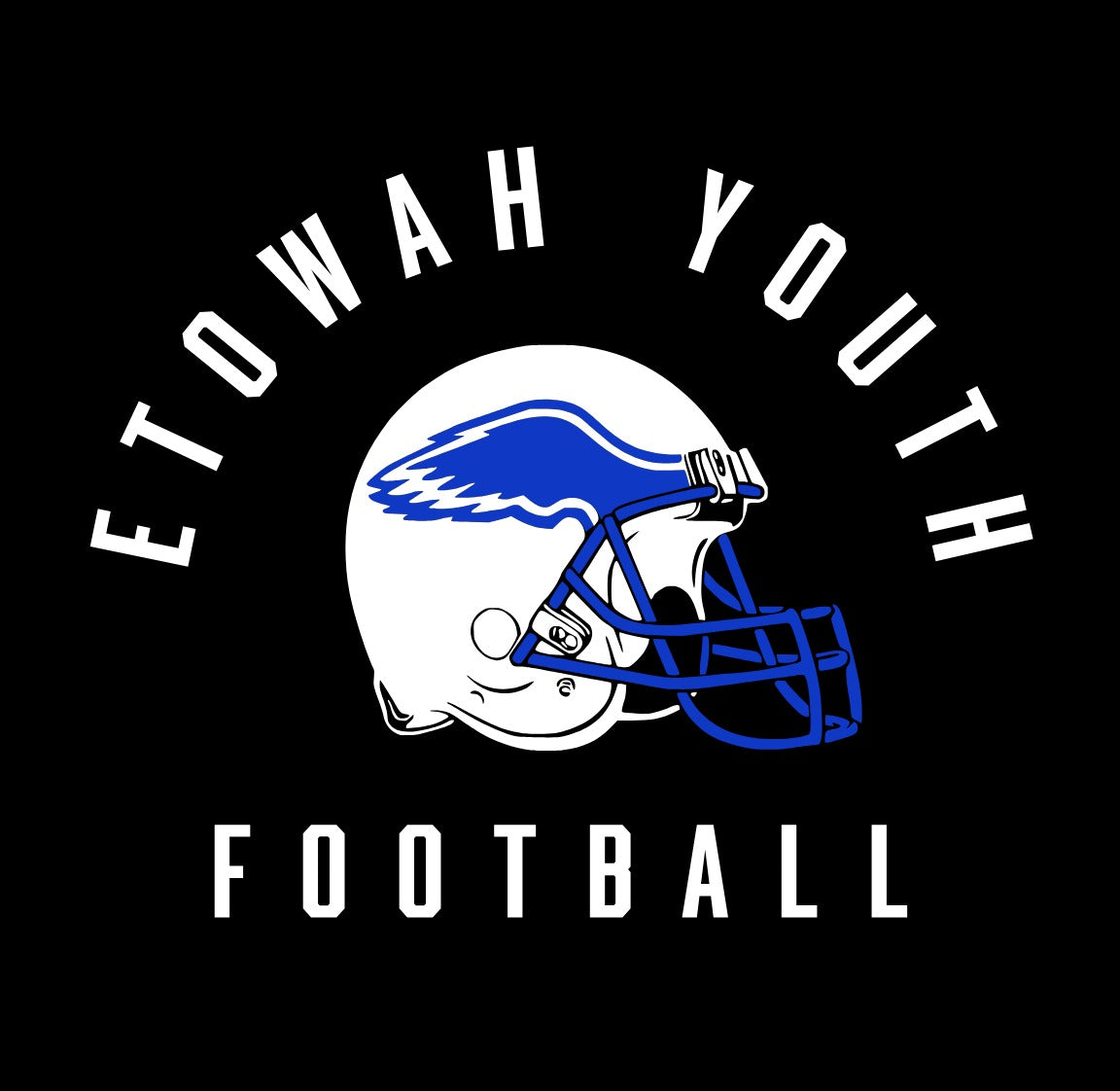 Eagles Youth Football Hoodie