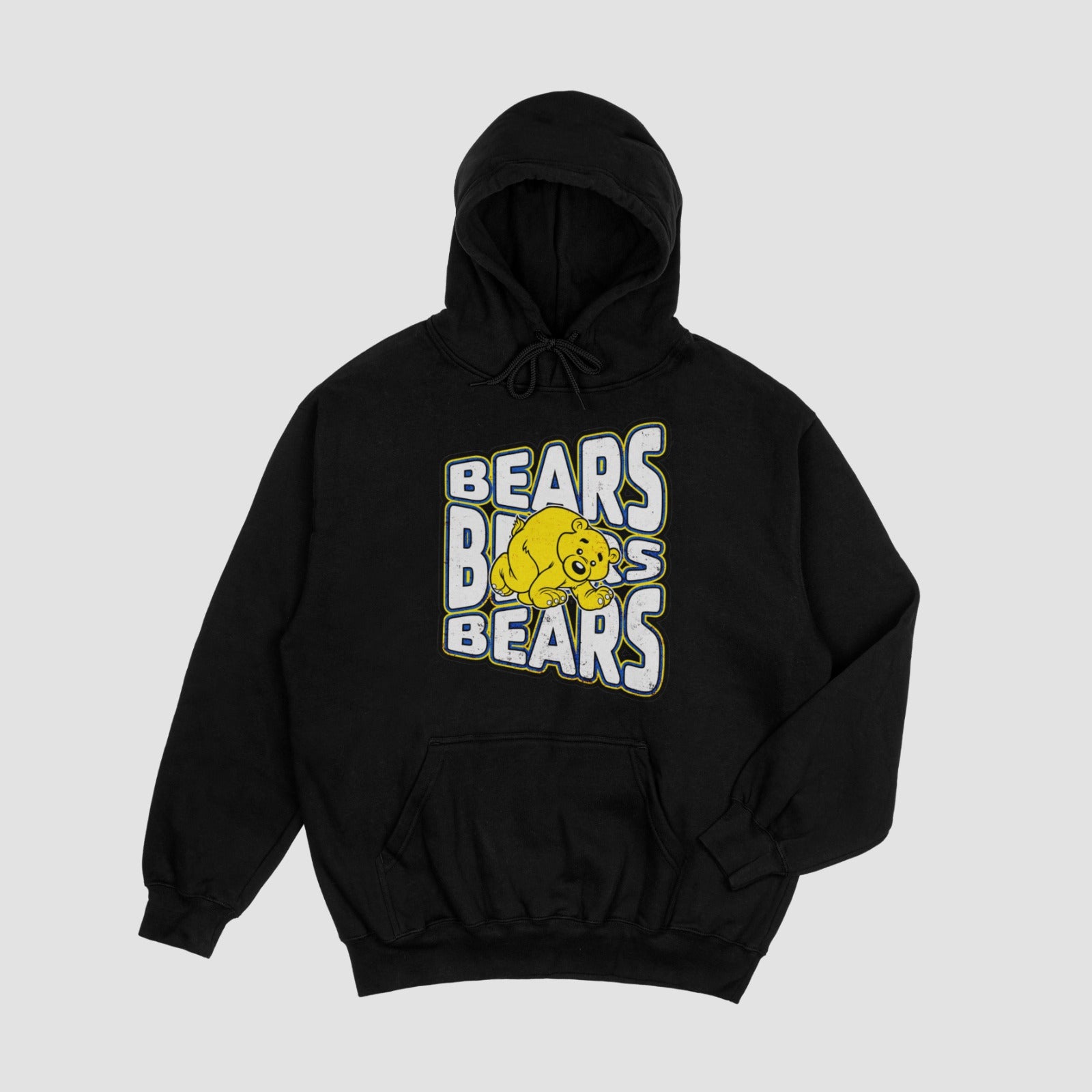 Boston Bears Hoodie
