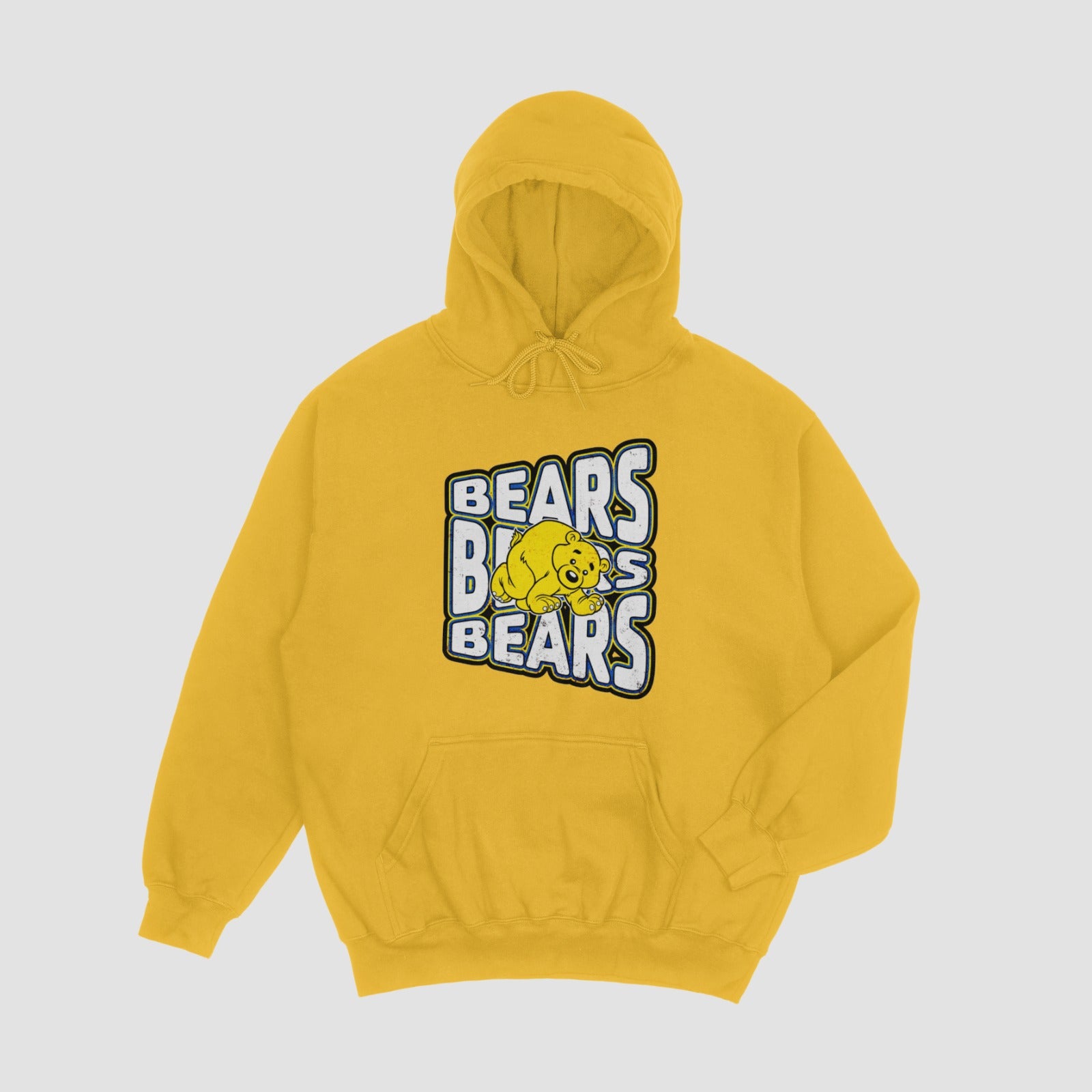 Boston Bears Hoodie