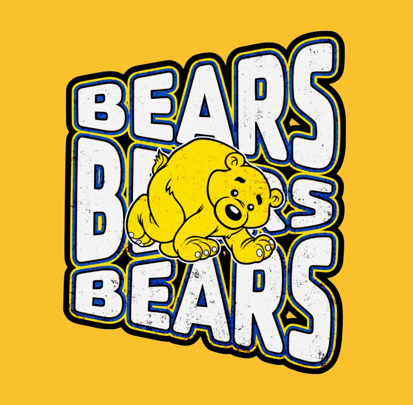Boston Bears Hoodie