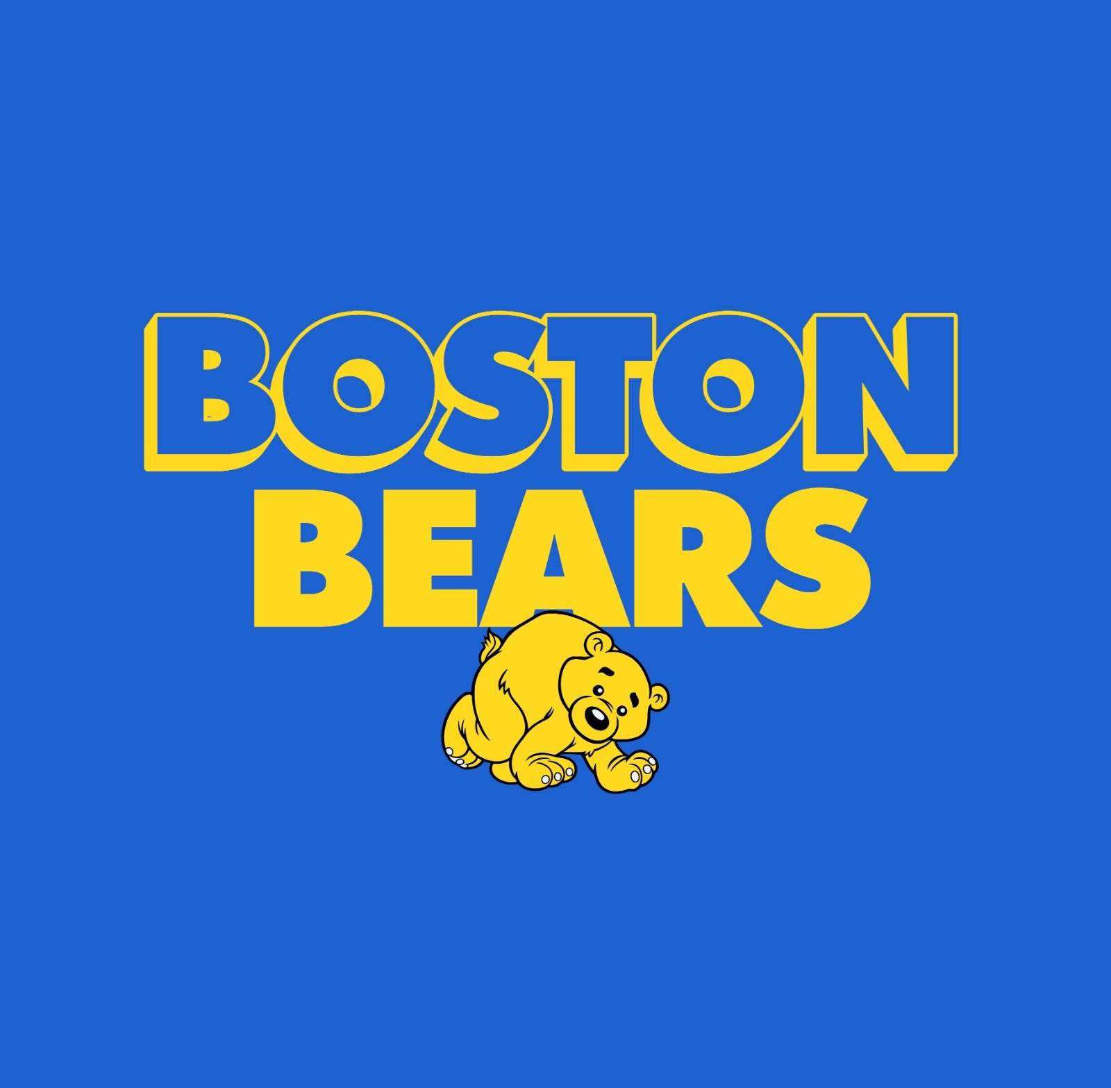Boston Bears Hoodie
