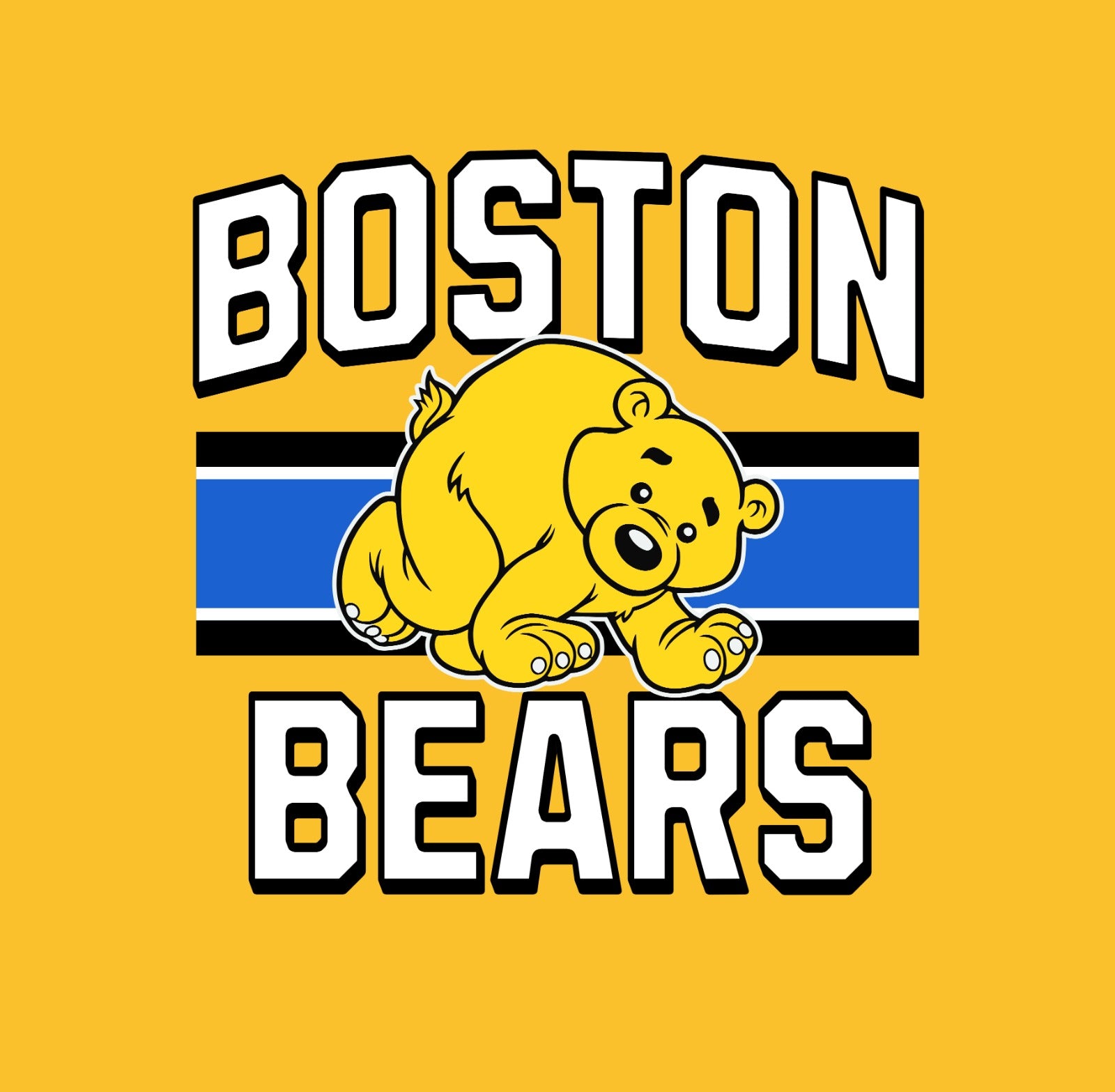 Boston Bears Hoodie