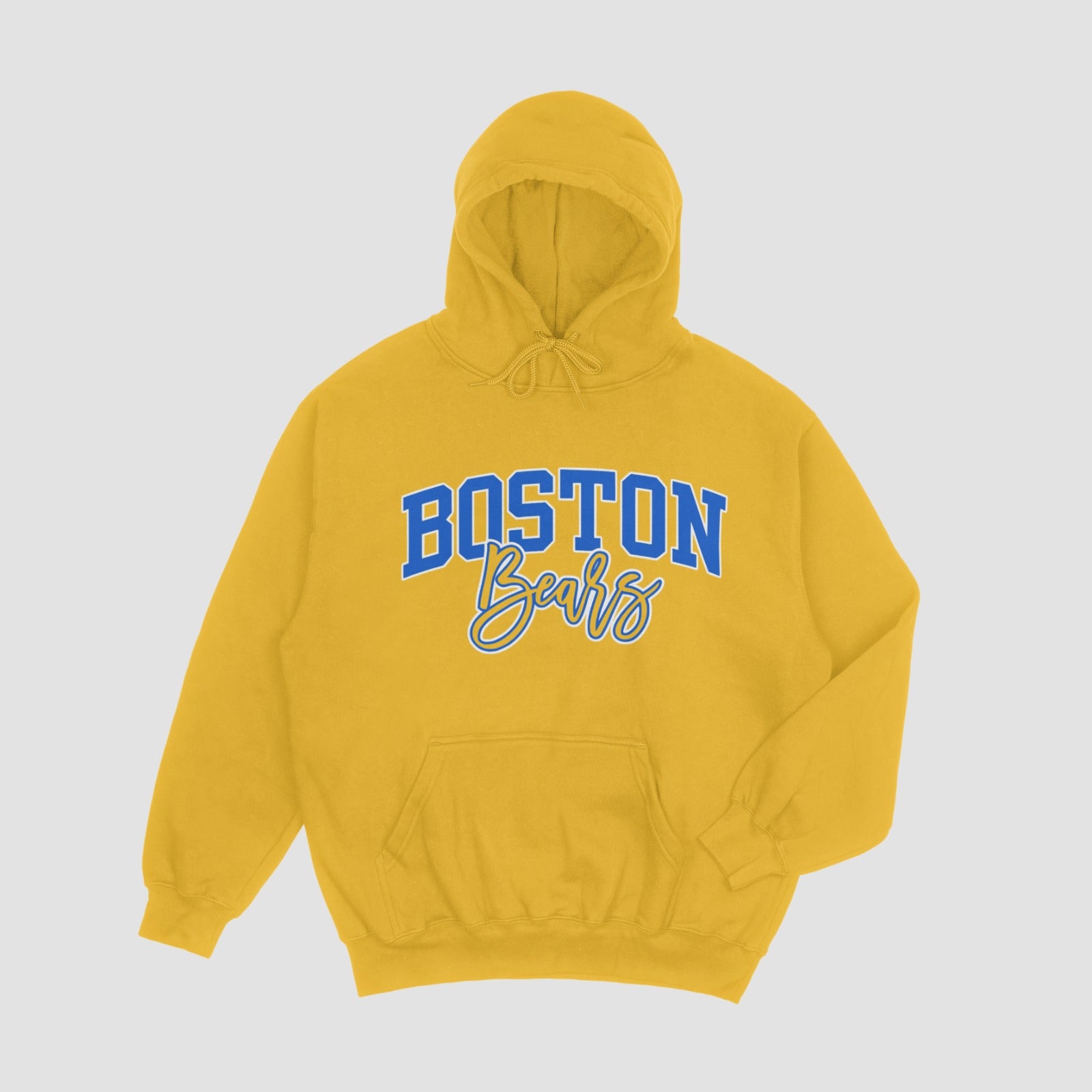 Boston Bears Hoodie