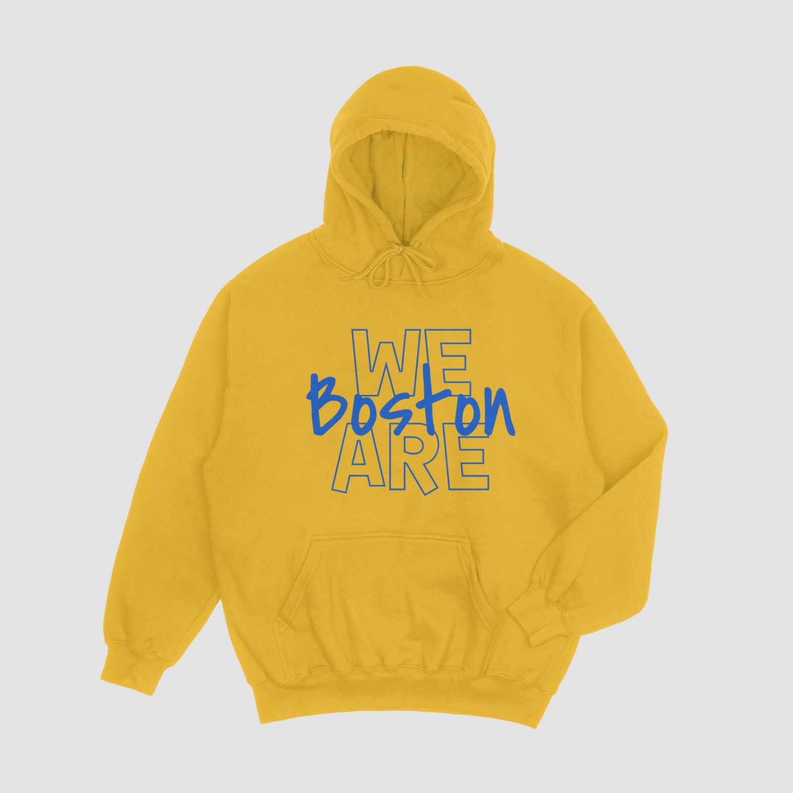 Boston Bears Hoodie