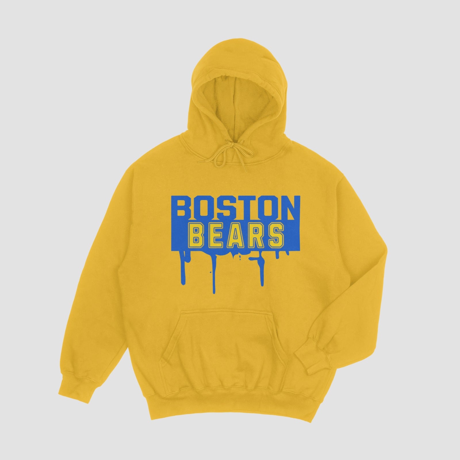 Boston Bears Hoodie
