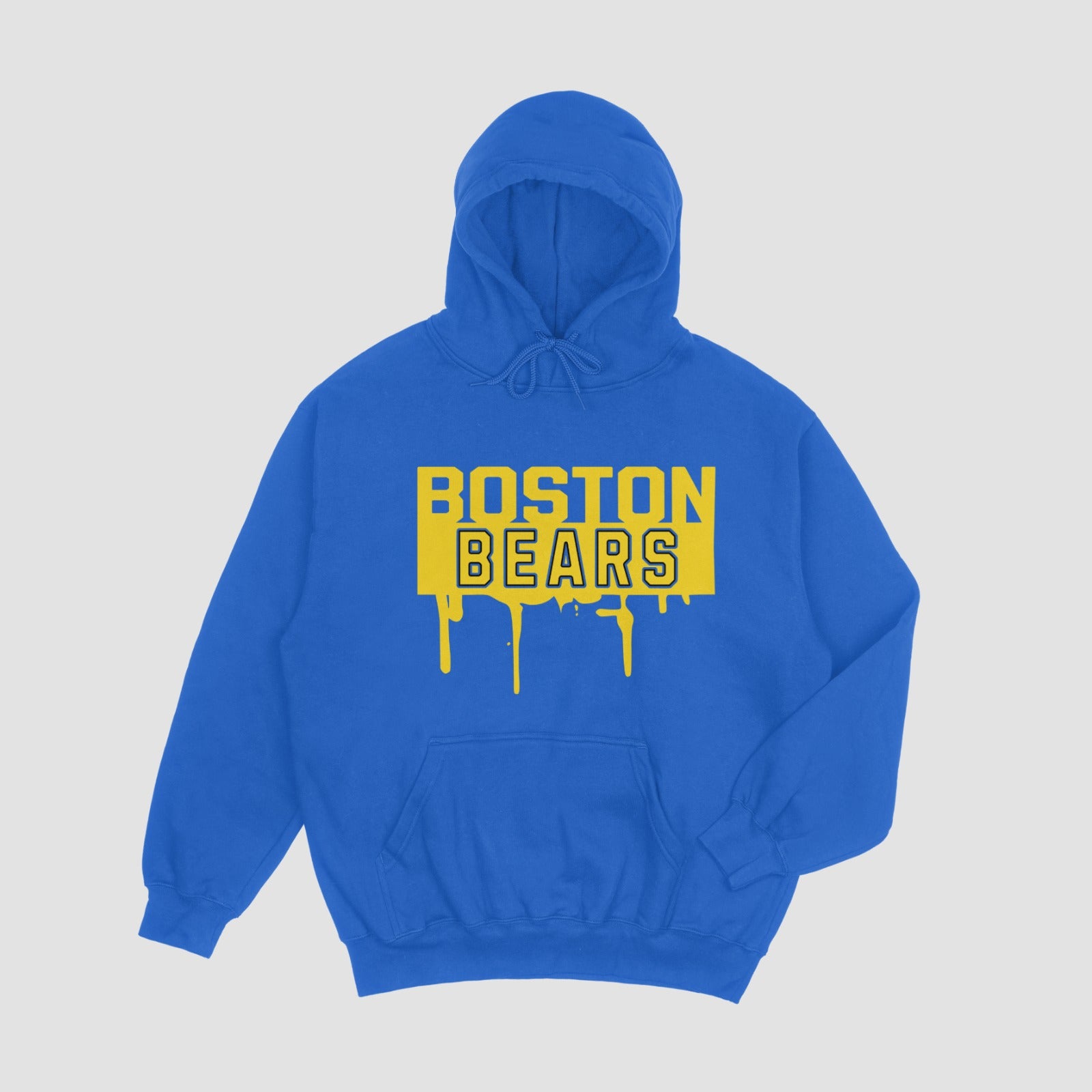 Boston Bears Hoodie