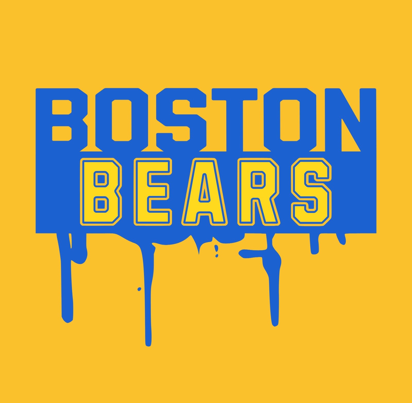 Boston Bears Hoodie