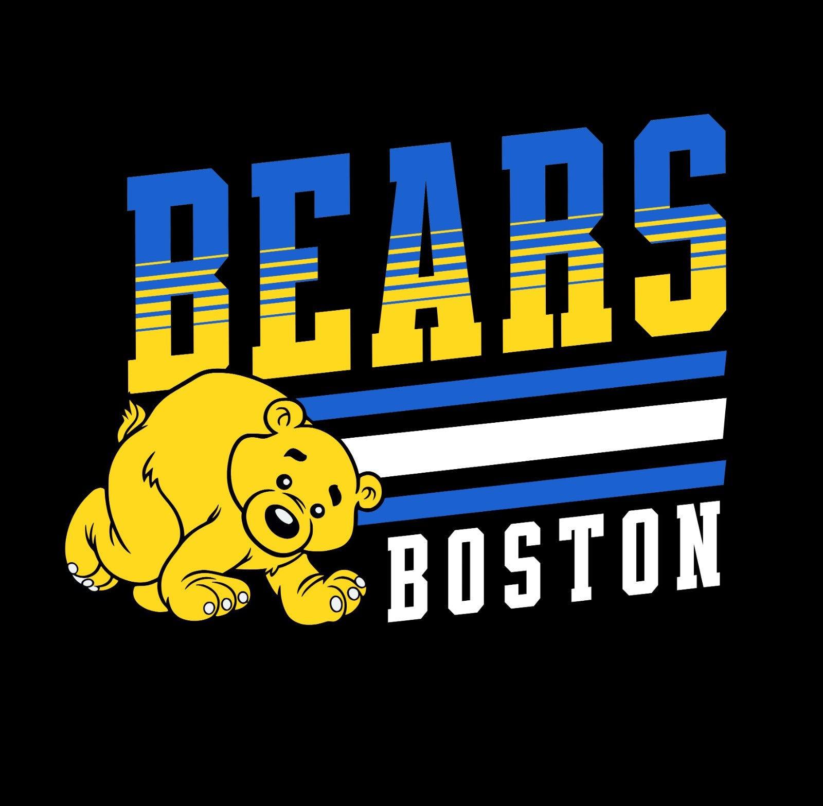Boston Bears Hoodie