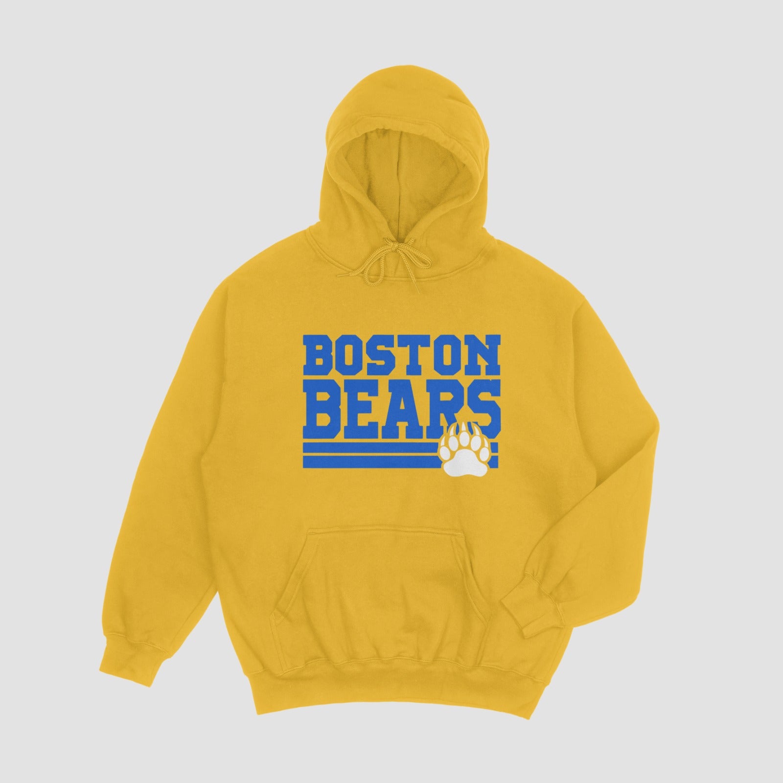 Boston Bears Hoodie