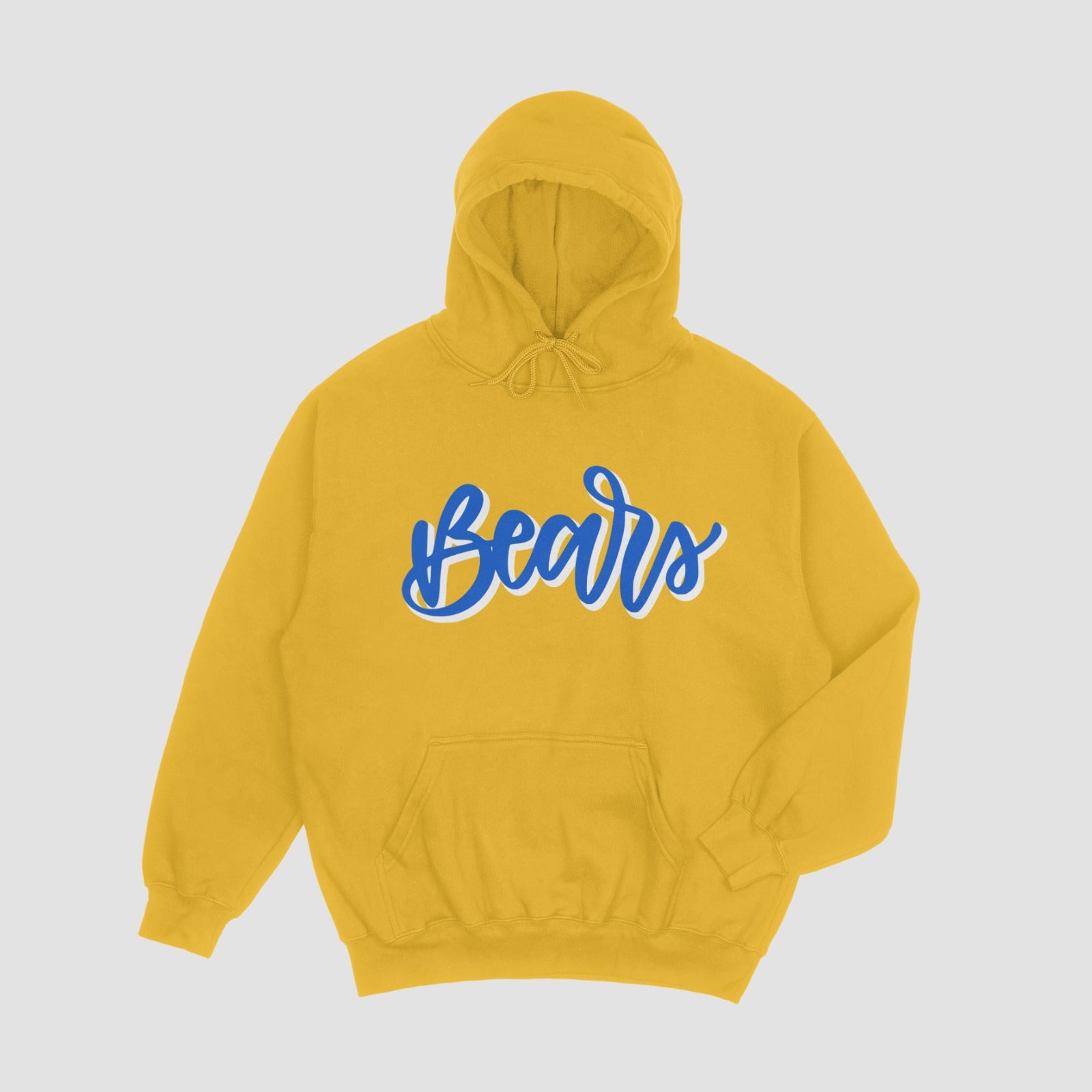 Boston Bears Hoodie