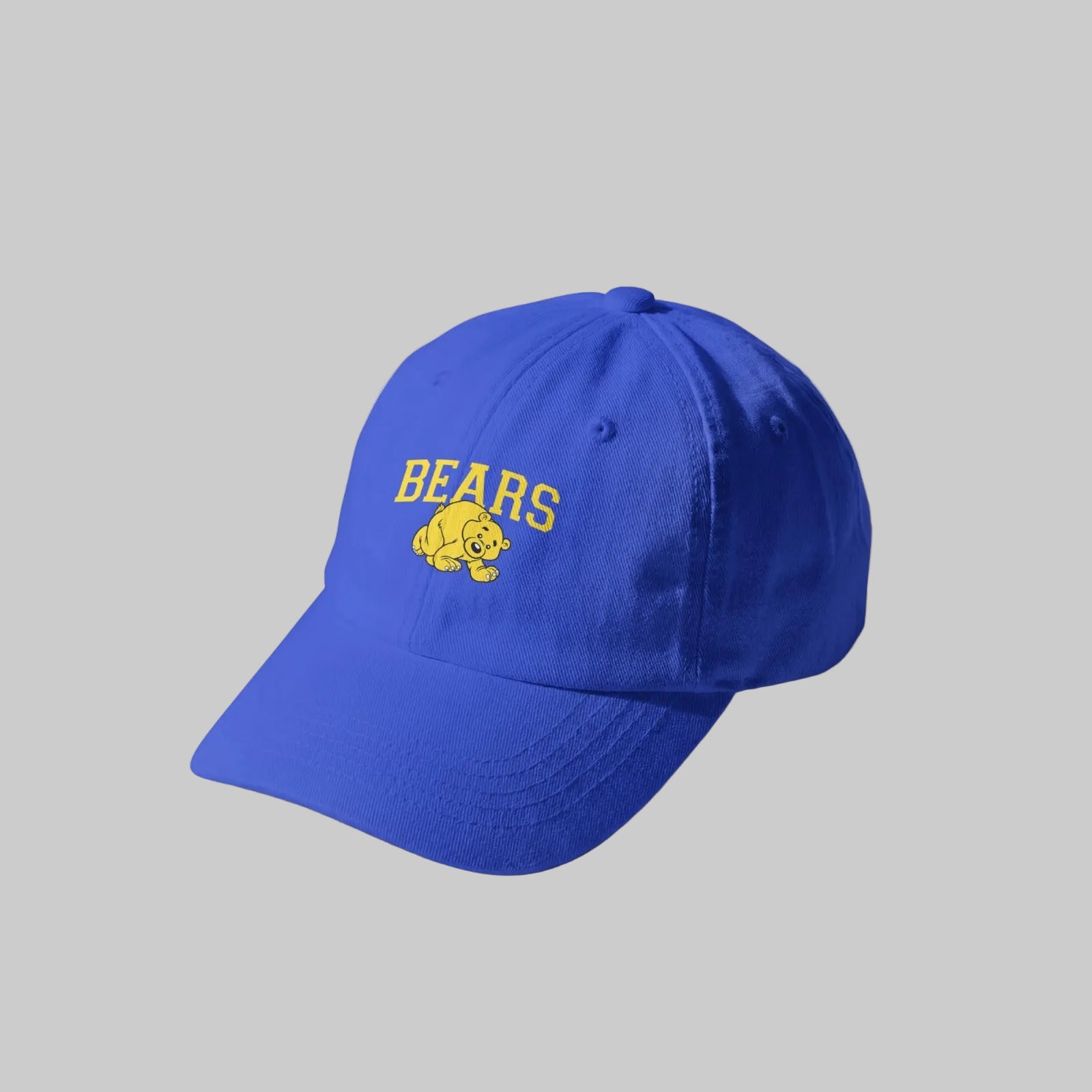 Boston Bears Dad Hat