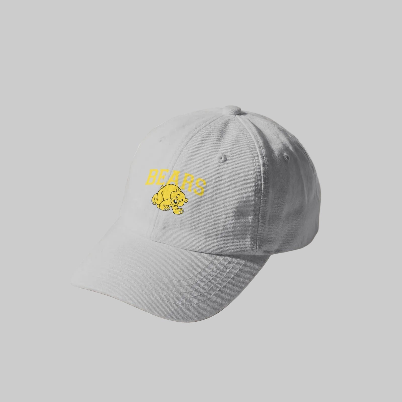 Boston Bears Dad Hat