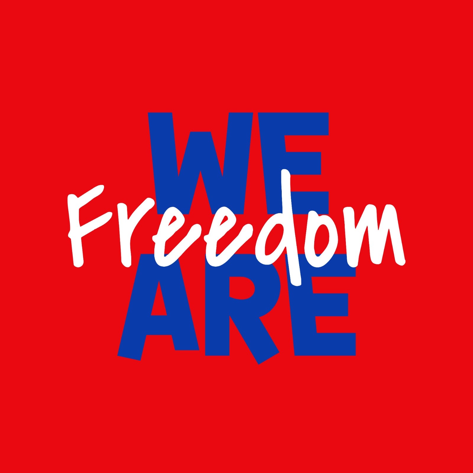 Freedom Middle School Hoodie