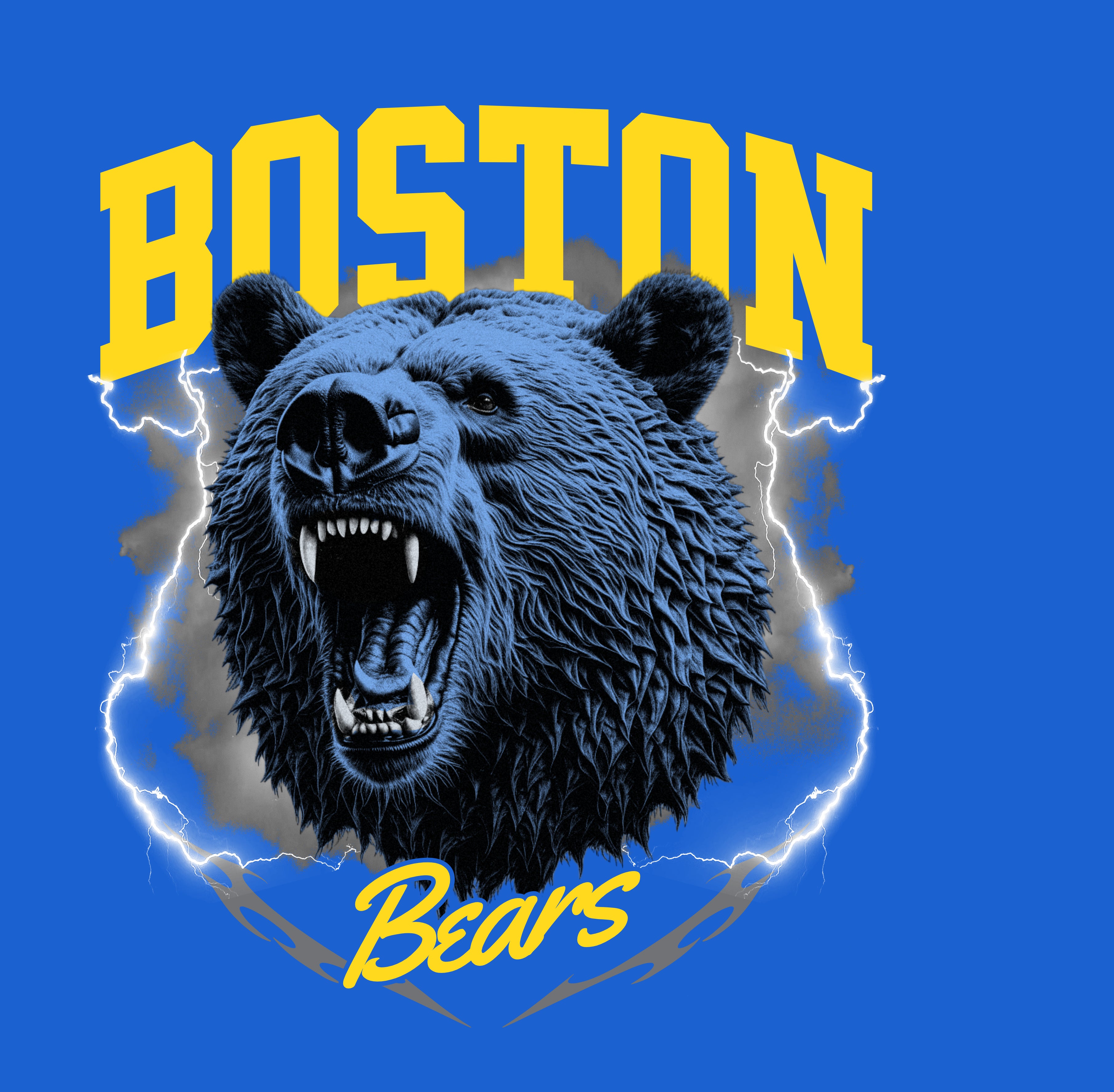 Boston Bears Hoodie