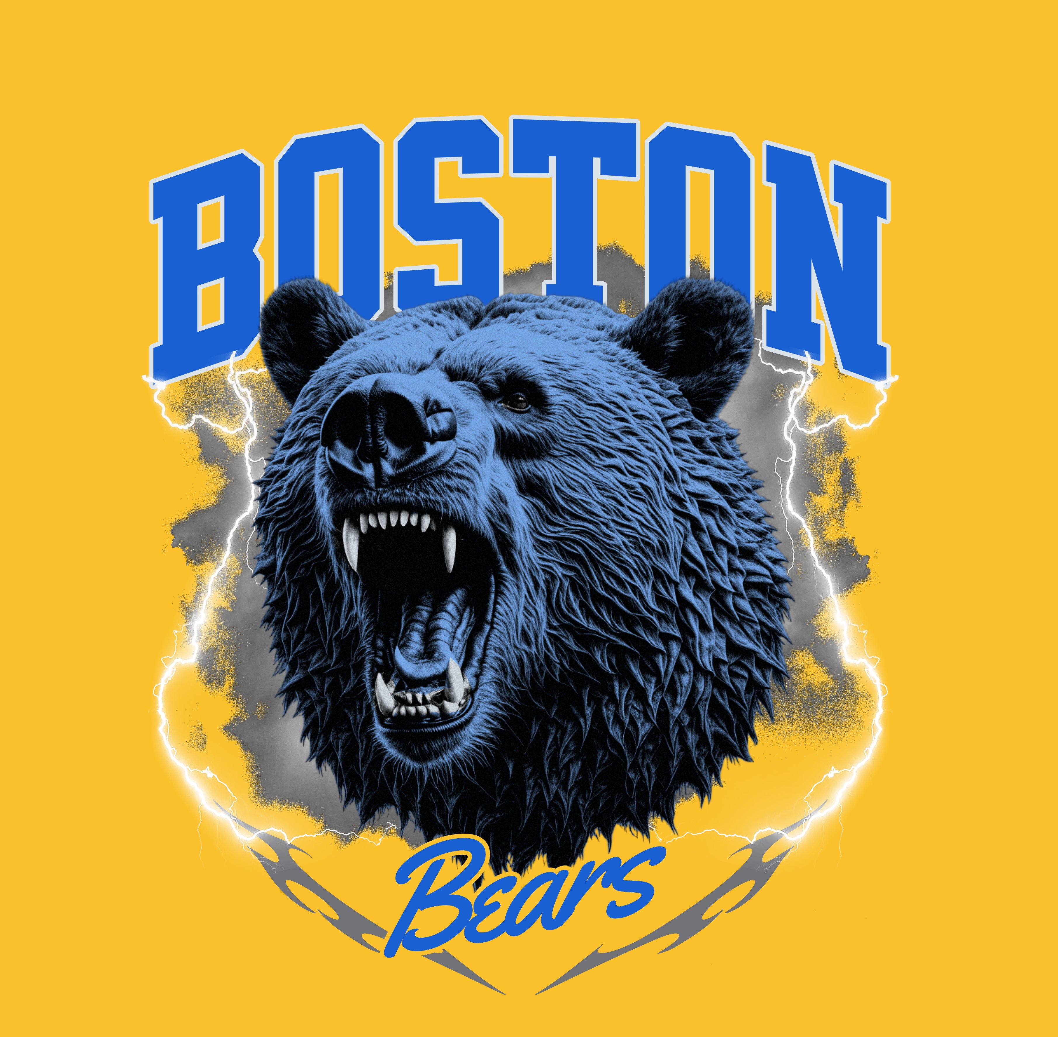Boston Bears T-Shirt
