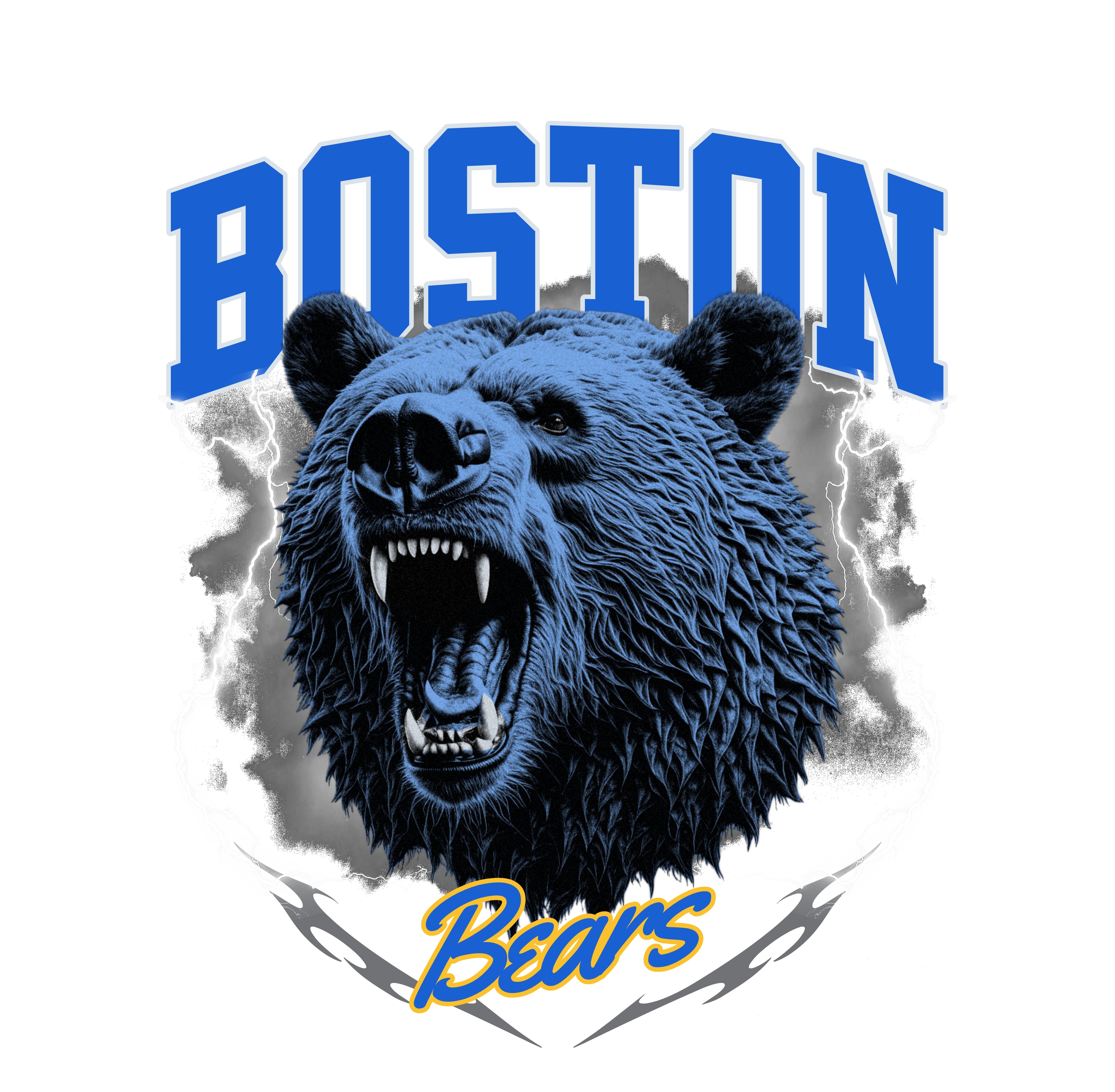 Boston Bears Sweatshirt