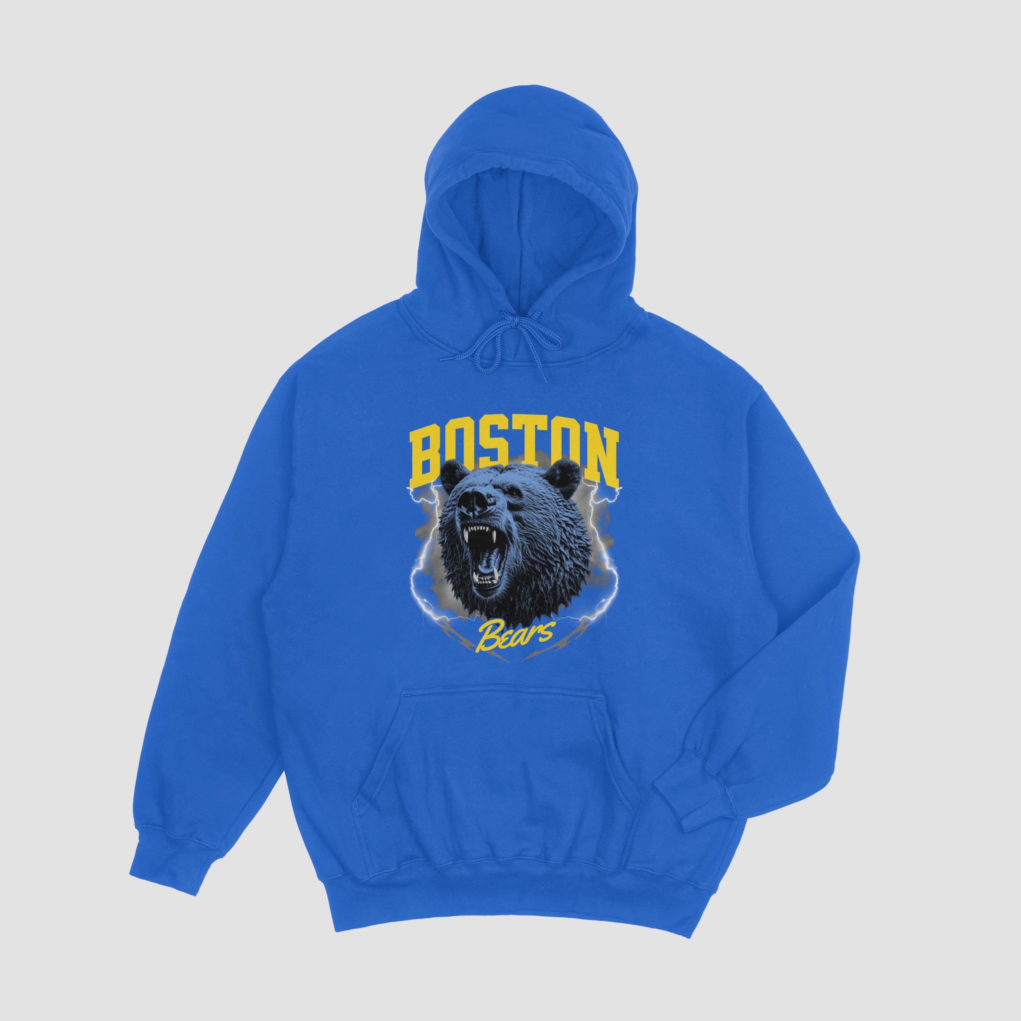 Boston Bears Hoodie