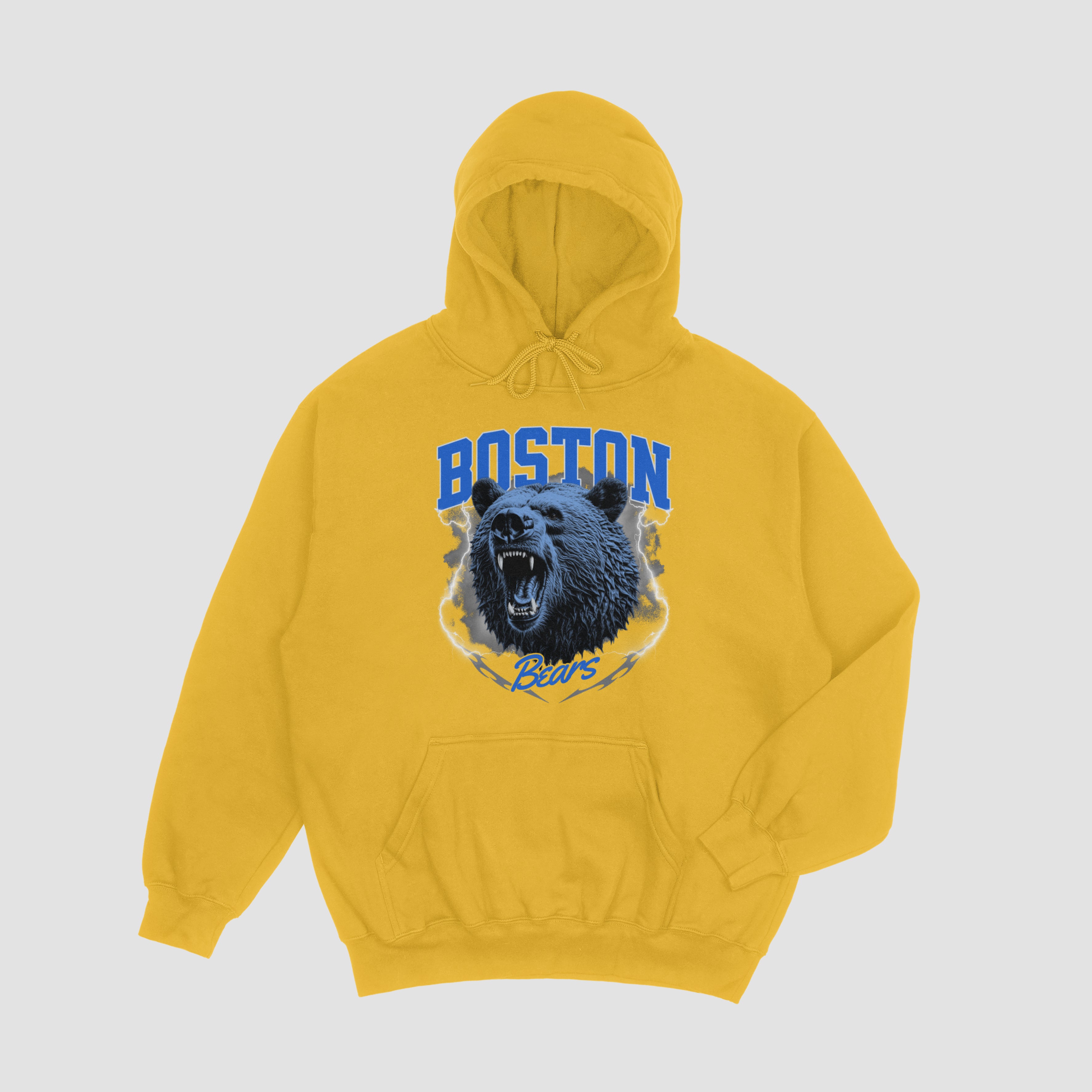 Boston Bears Hoodie