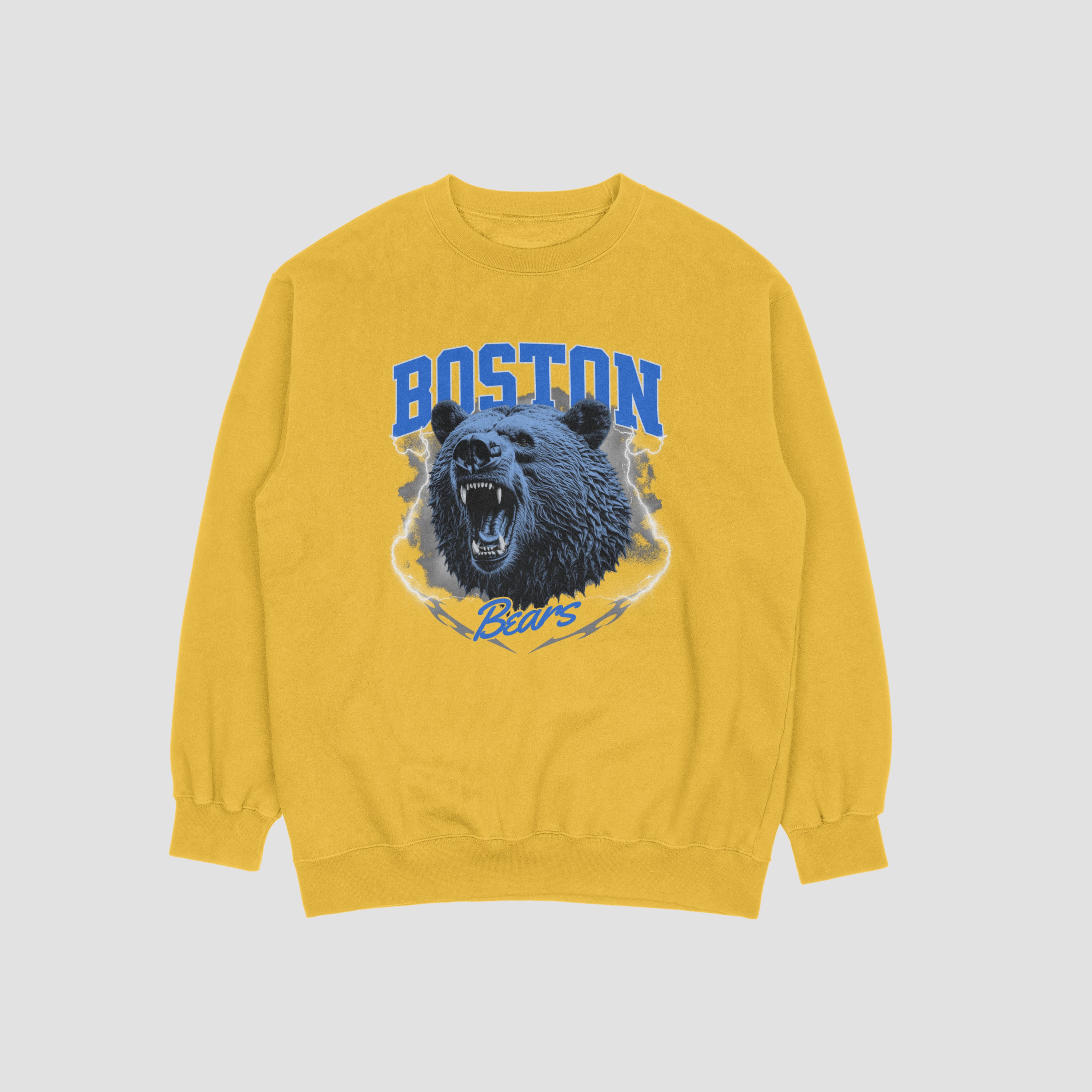 Boston Bears Sweatshirt