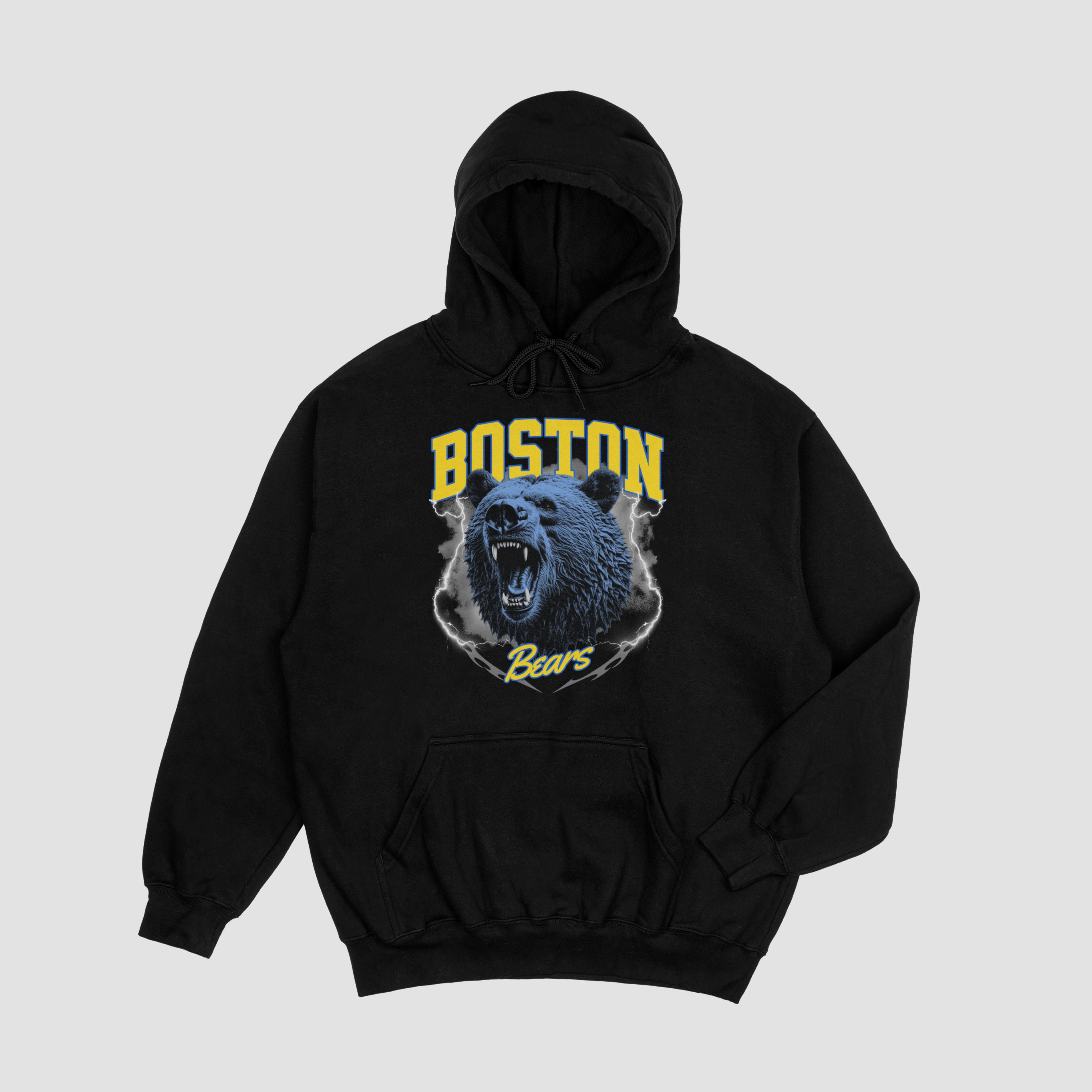 Boston Bears Hoodie