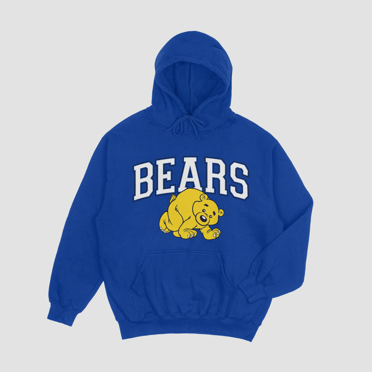 Boston Bears Hoodie